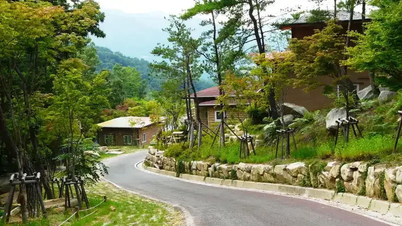 통나무 온돌 숲속의집 및 야영데크 사이트