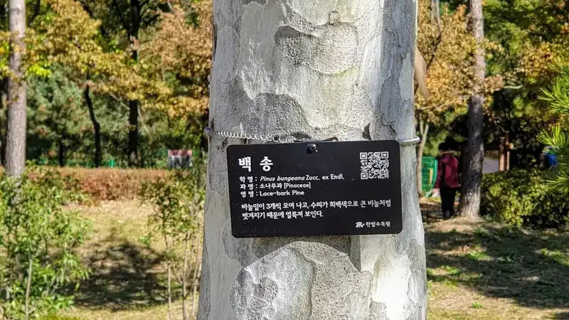 자연목재 조합놀이대 및 숲속 어드벤처 모험시설