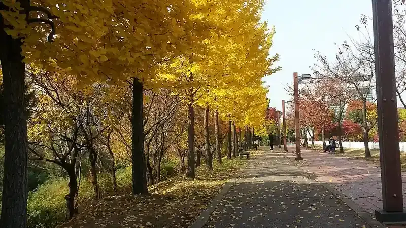 중앙 잔디광장 어린이 모험놀이시설 및 조합놀이대