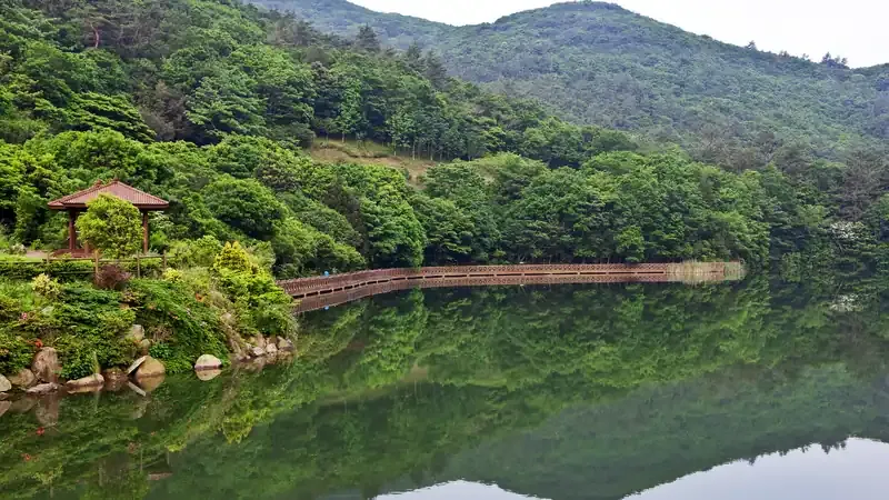 전통 한옥 양식 산림박물관 및 난대림 표본 전시관