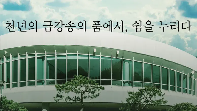 금강소나무 목재로 시공되어 피톤치드가 방출되는 친환경 온돌 힐링스테이