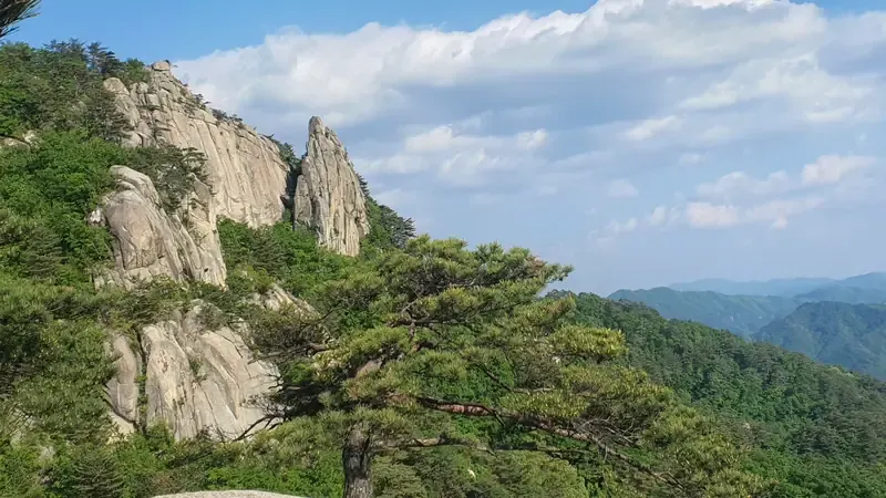 어린이 목공 DIY 체험실 및 편백 반신욕장