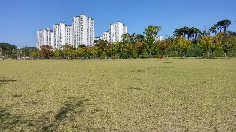 숲놀이터 인근 잔디광장 및 어린이 자연 생태 놀이 공간