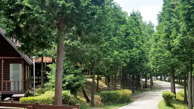 남해 국립남해편백자연휴양림