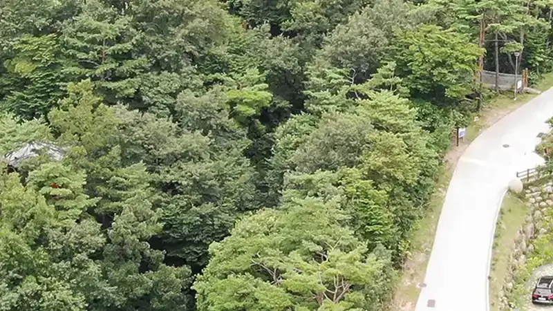 지리산구재봉자연휴양림