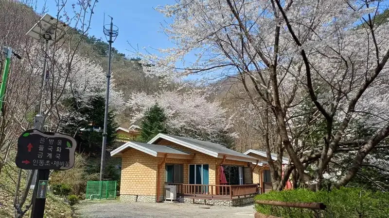 증평 좌구산자연휴양림