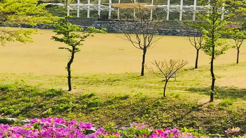 청주 국립상당산성자연휴양림