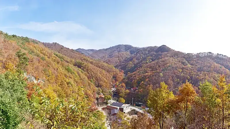민주지산자연휴양림