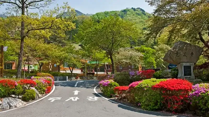성주산자연휴양림