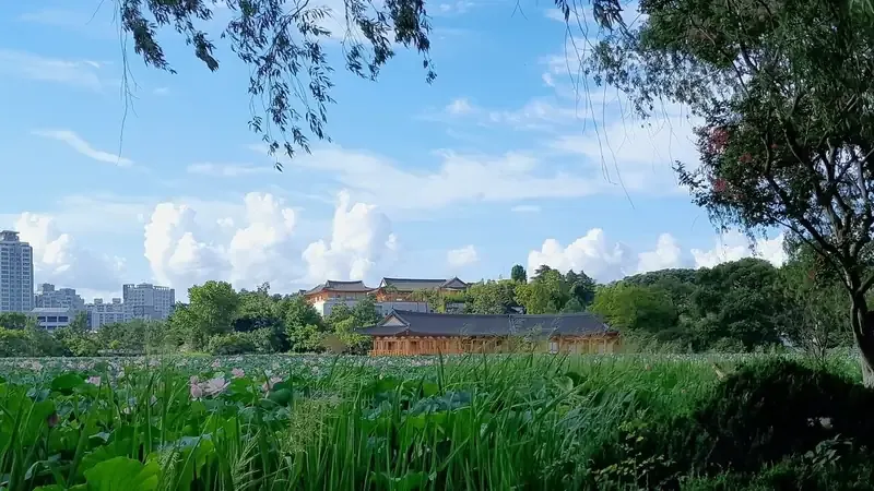전주 덕진공원 맘껏숲놀이터 (야호 맘껏숲 & 맘껏하우스)