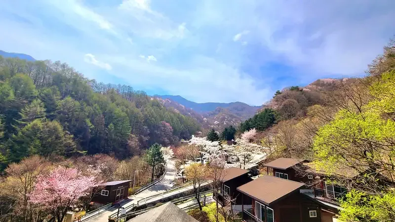 함양 국립지리산자연휴양림