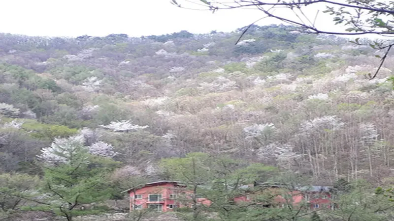 진안 국립운장산자연휴양림