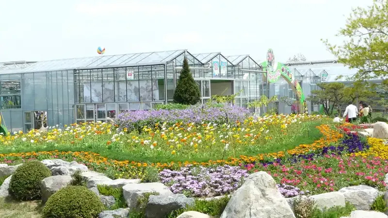 함평 엑스포 곤충생태학교 & 나비온실