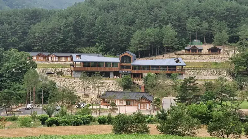 삼척 활기자연휴양림 (삼척 활기 치유의숲)