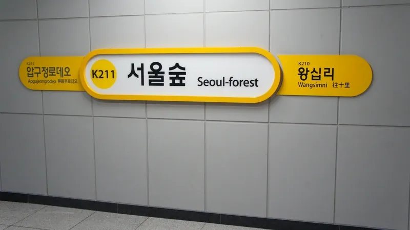 서울숲공원 거인놀이터