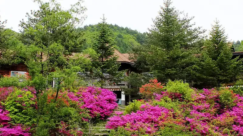 횡성 국립청태산자연휴양림