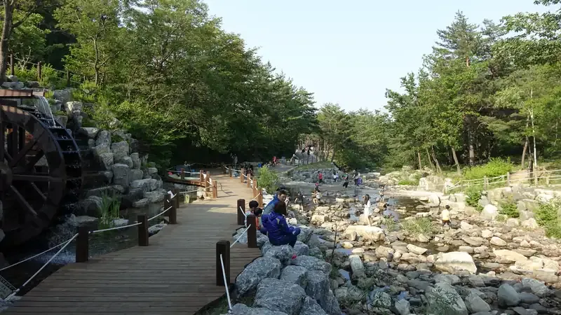 강릉 솔향수목원 숲놀이터