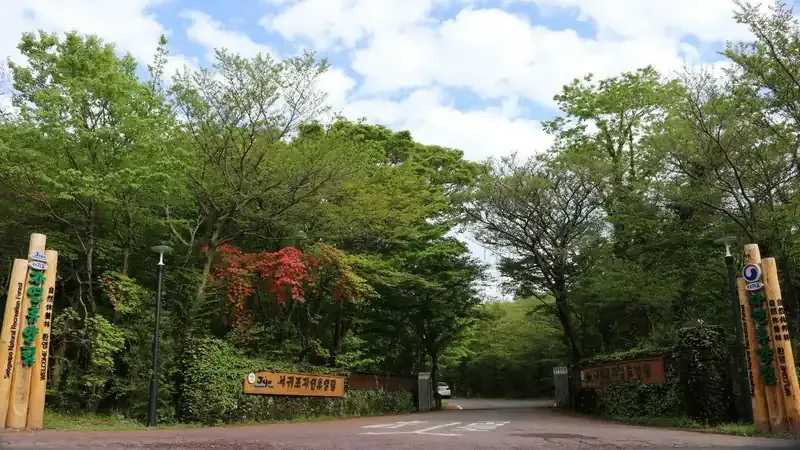제주 서귀포자연휴양림