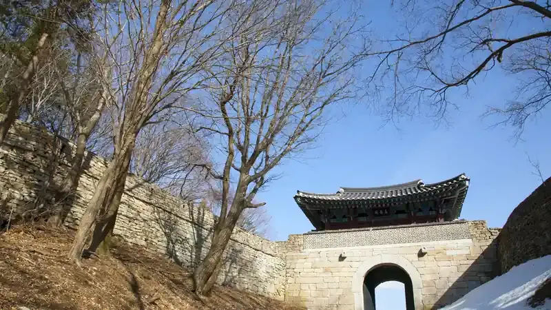 문경새재 맑은 계곡과 울창한 숲길 힐링 산책로