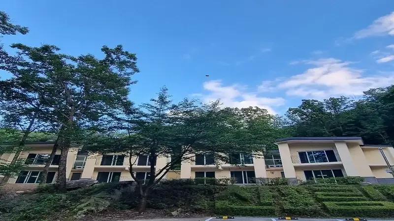금강 수변 산림욕장 및 피톤치드 메타세쿼이아길