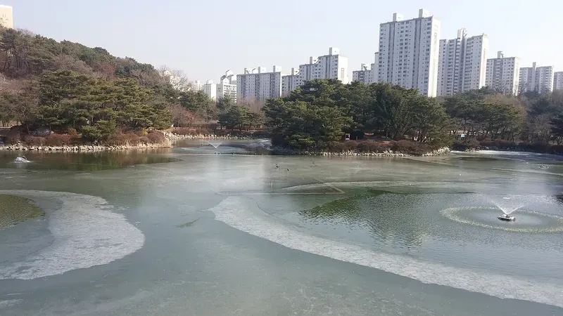 분당호 수변 산책로 및 울창한 도심 피톤치드 숲길