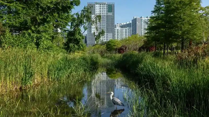 푸른 잔디마당과 생태연못 수변 쉼터