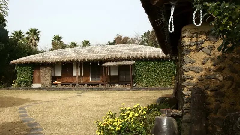 제주 전통 초가집 및 동백나무 숲 힐링 쉼터