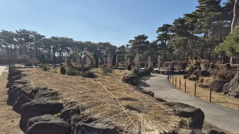 사계절 푸른 주목나무 터널 숲 쉼터