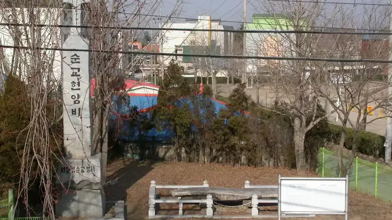수백 년 된 회화나무와 솔숲 쉼터