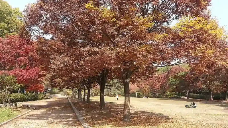 중앙공원 서현역 방향 진입로 및 무장애 유모차 산책로