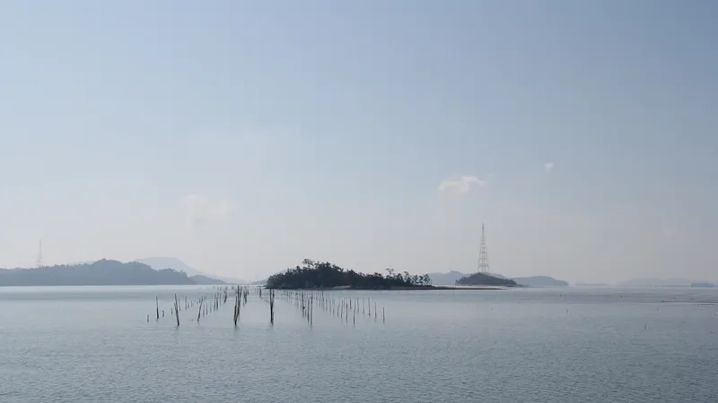증도 갯벌생태전시관 및 짱뚱어다리 진입 무장애 보행로