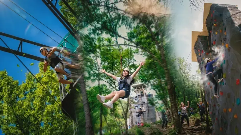 목재체험관 및 독채 숲속의집 전용 주차장