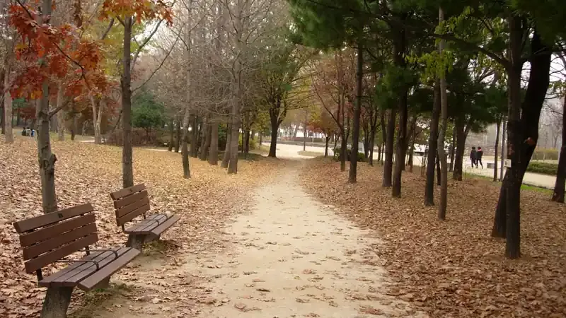 서울숲 정문 진입로 및 무장애 평탄 숲 산책길